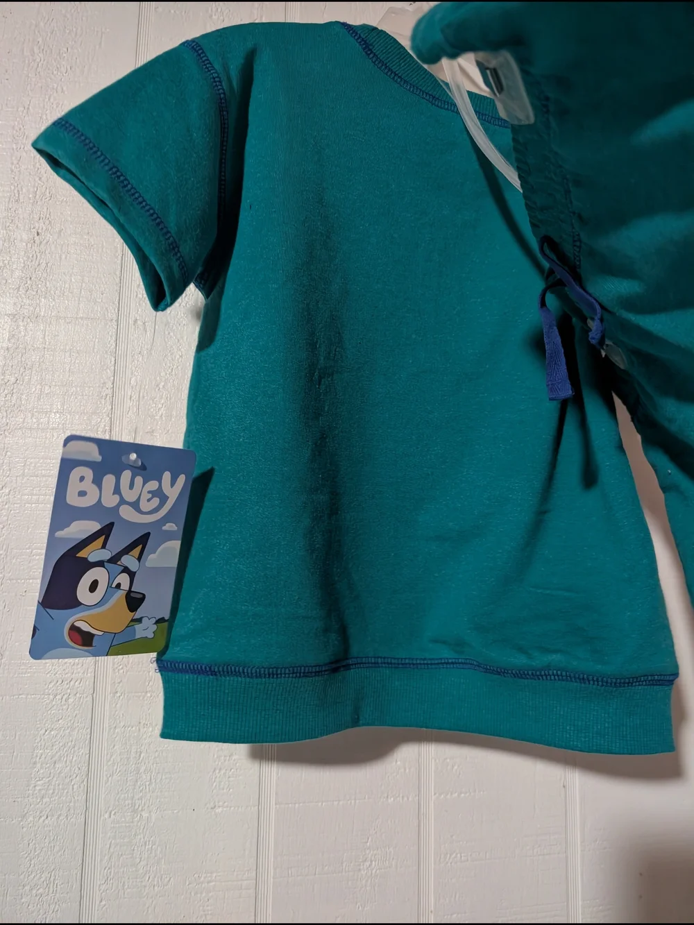 Kids Bluey Teal Short-Sleeve & Shorts set W/Playful Bluey Graphic